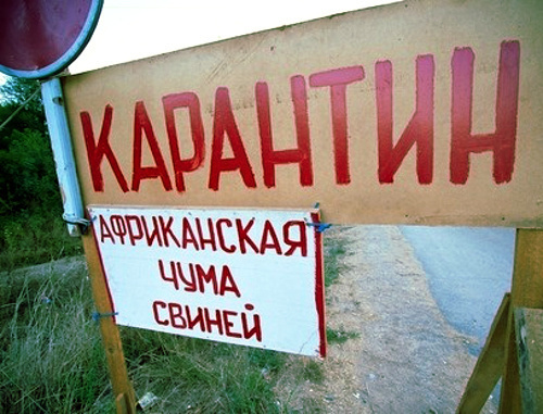 Объявление о карантине из-за африканской чумы свиней в Краснодарском крае. Фото: Юрий Гречко/Югополис, http://www.yugopolis.ru Объявление о карантине из-за африканской чумы свиней в Краснодарском крае. Фото: Юрий Гречко/Югополис, http://www.yugopolis.ru