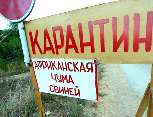 Щит с предупреждением о вспышке африканской чумы свиней. Фото: Юрий Гречко / Югополис Щит с предупреждением о вспышке африканской чумы свиней. Фото: Юрий Гречко / Югополис