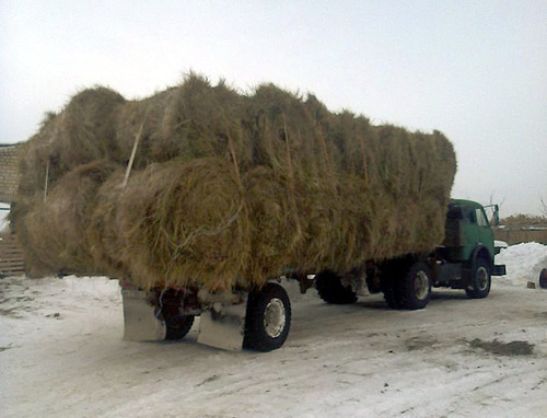 Грузовик с сеном для продажи. Волгоградская область, январь 2014 г. Фото: http://www.avito.ru/volgograd/tovary_dlya_zhivotnyh/seno_272217947
