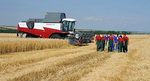 Рекордный урожай зерна на Кубани. Фото: пресс-служба Президента России. http://kremlin.ru/