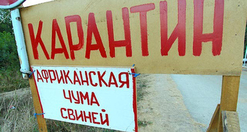 Самодельная табличка "Карантин". Фото: http://bloknot-volgograd.ru/thumb/640x0xcut/upload/iblock/d1d/y302025520032_a.jpg Самодельная табличка "Карантин". Фото: http://bloknot-volgograd.ru/thumb/640x0xcut/upload/iblock/d1d/y302025520032_a.jpg