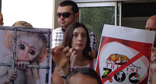 Участники акции протеста в Тбилиси. Фото Инны Кукуджановой для "Кавказского узла" Участники акции протеста в Тбилиси. Фото Инны Кукуджановой для "Кавказского узла"