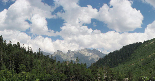 Тебердинский заповедник. КЧР. Фото: panoramio.com/user/55593 Тебердинский заповедник. КЧР. Фото: panoramio.com/user/55593