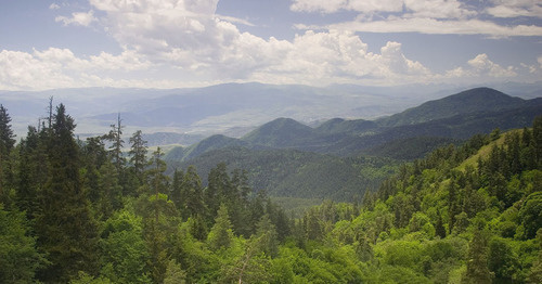 Национальный парк Боржоми-Харагаули. Фото: Polscience at en.wikipedia https://ru.wikipedia.org/ Национальный парк Боржоми-Харагаули. Фото: Polscience at en.wikipedia https://ru.wikipedia.org/