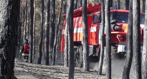 Пожарная машина в лесу ростовской области. Фото: http://61.mchs.gov.ru/operationalpage/operational/item/3114379/ Пожарная машина в лесу ростовской области. Фото: http://61.mchs.gov.ru/operationalpage/operational/item/3114379/