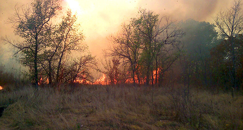 Лесной пожар в Серафимовическом районе Волгоградской области, 03.10.2015. Фото: http://34.mchs.gov.ru/operationalpage/operational/item/3132058/ Лесной пожар в Серафимовическом районе Волгоградской области, 03.10.2015. Фото: http://34.mchs.gov.ru/operationalpage/operational/item/3132058/