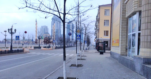 Грозный. Ноябрь 2015 г. Фото Магомеда Магомедова для "Кавказского узла" Грозный. Ноябрь 2015 г. Фото Магомеда Магомедова для "Кавказского узла"