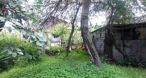 Садовый участок. Фото: http://realty.vladikavkaz-citystar.ru/photos/zemelnye-uchastki-vo-vladikavkaze.html Садовый участок. Фото: http://realty.vladikavkaz-citystar.ru/photos/zemelnye-uchastki-vo-vladikavkaze.html