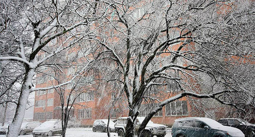 Снег на Кубани. Фото http://www.livekuban.ru/news/proisshestviya/na-kubani-vozmozhny-chs-iz-za-gololeda-i-mokrogo-snega/ Снег на Кубани. Фото http://www.livekuban.ru/news/proisshestviya/na-kubani-vozmozhny-chs-iz-za-gololeda-i-mokrogo-snega/