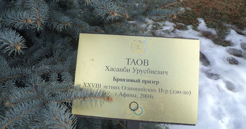 Поврежденная именная табличка на Олимпийской аллее в Нальчике. 6 февраля 2017 г. Фото Людмилы Маратовой для "Кавказского узла" Поврежденная именная табличка на Олимпийской аллее в Нальчике. 6 февраля 2017 г. Фото Людмилы Маратовой для "Кавказского узла"