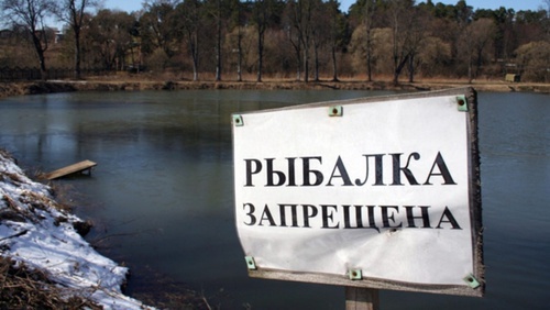 Объявление о запрете рыбалки Фото http://www.amic.ru/voprosdnya/325700/print/ Объявление о запрете рыбалки Фото http://www.amic.ru/voprosdnya/325700/print/