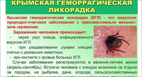 Фрагмент памятки "Осторожно, клещи" Фото http://novostischool1.my1.ru/?page1 Фрагмент памятки "Осторожно, клещи" Фото http://novostischool1.my1.ru/?page1