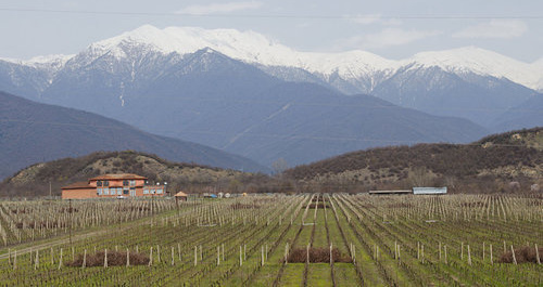 Кахетия. Фото © Sputnik/ Александр Имедашвили
 https://sputnik-georgia.ru/politics/20170608/236254103/Inostrancy-ne-smogut-pokupat-selhoz-zemli-v-Gruzii.html