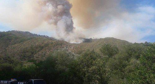 Боржомский лес в огне Фото © Borjomi Municipality
