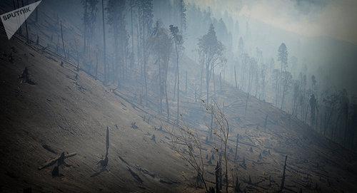 Последствия пожара в Боржоми. Фото © Sputnik/ STRINGER
https://sputnik-georgia.ru/columnists/20170824/237072641/Dobroe-utro-24-avgusta-Vnimanie-Gruzija-v-ogne.html