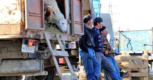 Место для забоя скота в дни празднования Курбан-байрама. Фото Магомеда Магомедова для "Кавказского узла"