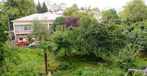 Зеленая зона на улице Донская. Сочи. Фото Светланы Кравченко для "Кавказского узла" Зеленая зона на улице Донская. Сочи. Фото Светланы Кравченко для "Кавказского узла"