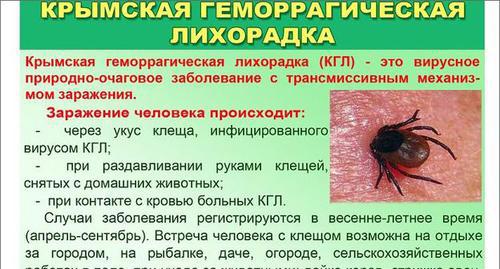 Фрагмент памятки "Осторожно, клещи" Фото http://novostischool1.my1.ru/?page1 Фрагмент памятки "Осторожно, клещи" Фото http://novostischool1.my1.ru/?page1