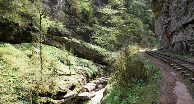 Гуамское ущелье. Фото Vyacheslav Argenberg  https://ru.wikipedia.org/wiki/Гуамское_ущелье#/media/Файл:Guam_canyon,_Гуамское_ущелье,_лес,_Западный_Кавказ.jpg