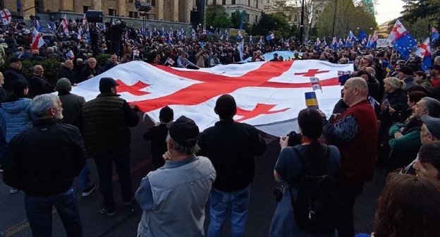 Участники митинга в Грузии, фото: Nevideo - Telegram Участники митинга в Грузии, фото: Nevideo - Telegram