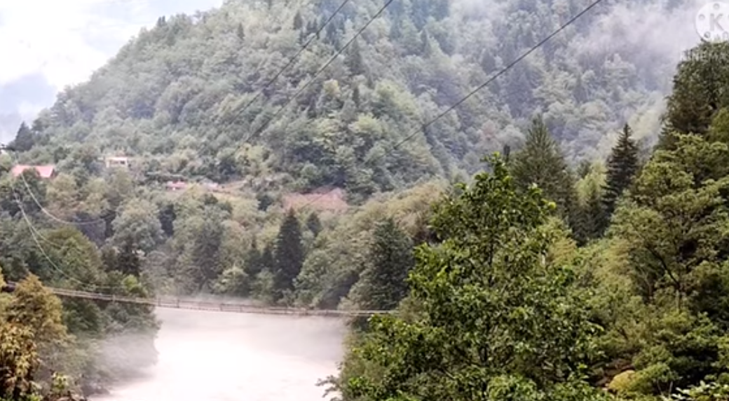 Лес у села Хаиши. Скриншот видео из YouTube-канала Evgueni Saveliev от 2.09.21, https://www.youtube.com/watch?v=t56PsFCFJfo Лес у села Хаиши. Скриншот видео из YouTube-канала Evgueni Saveliev от 2.09.21, https://www.youtube.com/watch?v=t56PsFCFJfo