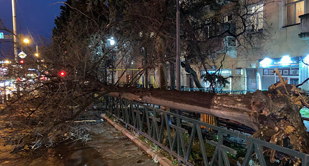 Ураган в Кахетии. Фото: https://ambebi.ru/article/3381-vyrvannye-derevia-zavalennye-dorogi-i-povrezhdenny/ Ураган в Кахетии. Фото: https://ambebi.ru/article/3381-vyrvannye-derevia-zavalennye-dorogi-i-povrezhdenny/