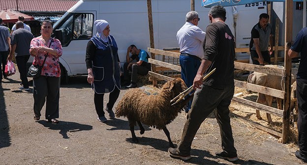 Жертвенное животное. Баку, 17 июня 2024 г. Фото Азиза Каримова для "Кавказского узла" Жертвенное животное. Баку, 17 июня 2024 г. Фото Азиза Каримова для "Кавказского узла"