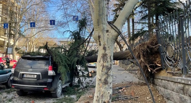 Улица в Тбилиси после урагана, фото: 24news.ge Улица в Тбилиси после урагана, фото: 24news.ge