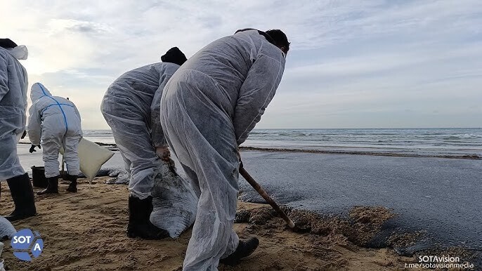 Уборка мазута на берегу моря. Декабрь 2024 г. Скриншот видео https://www.youtube.com/watch?v=qqOpt7LH5bE