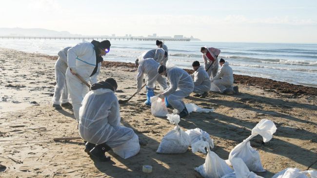 Уборка мазута на черноморском побережье. Декабрь 2024 г. Фото: «Администрация Краснодарского края» / Telegram
