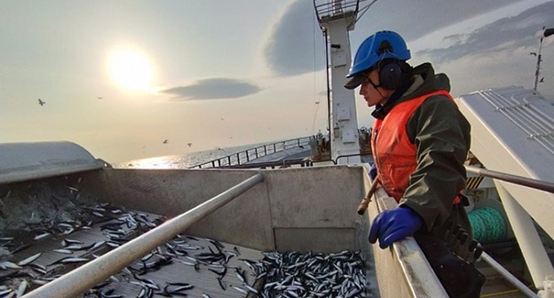 Рыбный промысел в Черном море. Фото: Объединенная пресс-служба Росрыболовства
