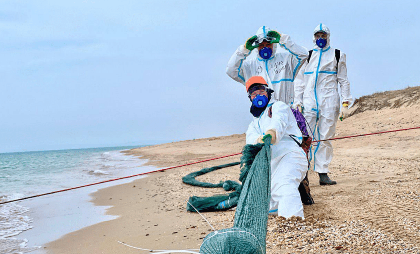 Замена сетей на Бугазской косе. Скриншот фото из Telegram-канала оперштаба Краснодарского края от 30.03.25, https://t.me/opershtab23/13022. Замена сетей на Бугазской косе. Скриншот фото из Telegram-канала оперштаба Краснодарского края от 30.03.25, https://t.me/opershtab23/13022.
