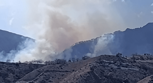 Лесной пожар в Унцукульском районе. Скриншот фото из Telegram-канала "Черновик 2.0", https://t.me/chernovik_new/1599.