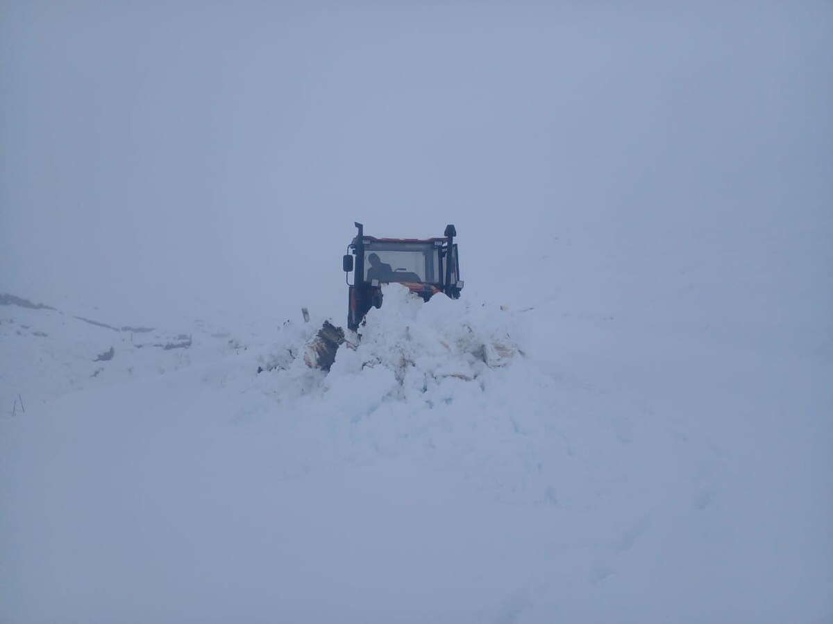 Трактор расчищает дорогу в Дагестане после снегопада. Скриншот из телеграм-канала ГКУ «Дагестанавтодор» https://t.me/dagavtodor/6635