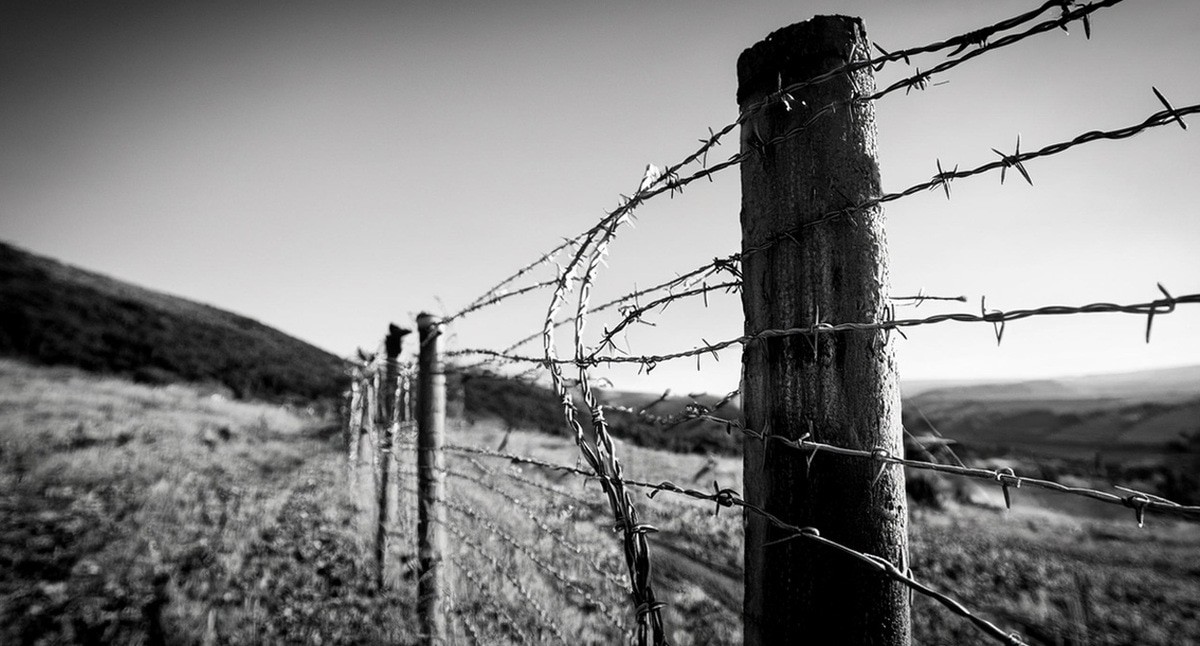 Колючая проволока. Иллюстрация создана "Кавказским узлом" с помощью ИИ в программе Copilot