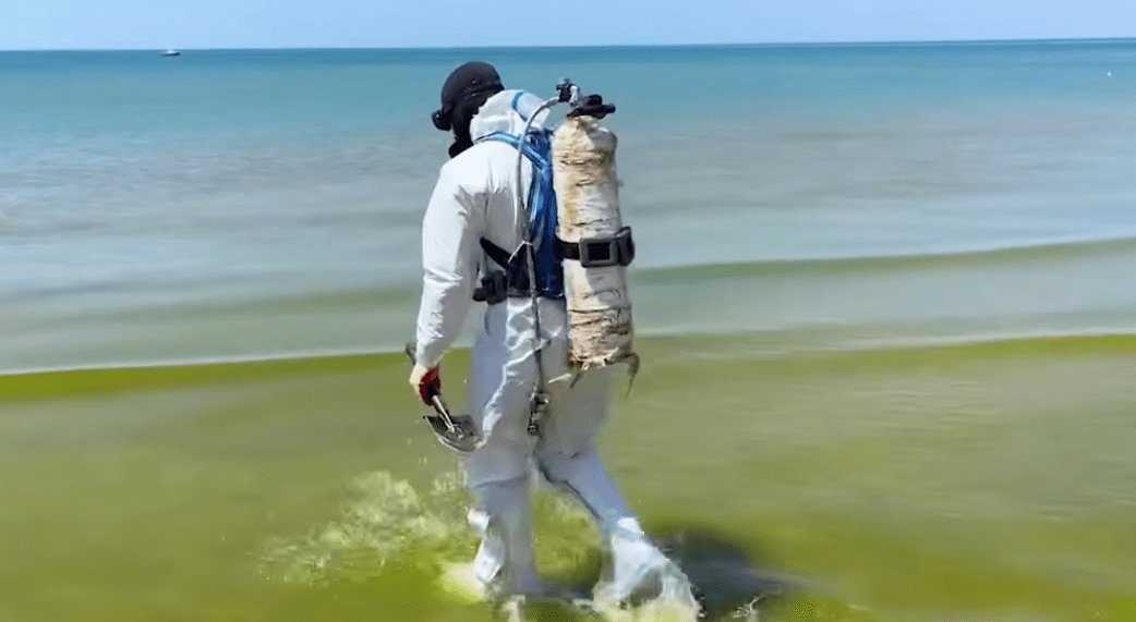 Водолаз заходит в море. Стоп-кадр видео оперштаба Краснодарского края от 08.06.25, https://t.me/opershtab23/13606. 