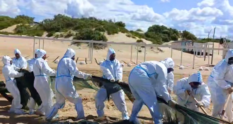 Демонтаж защитного вала на пляже в Анапе. Кадр видео оперштаба Кубани https://t.me/opershtab23/13690