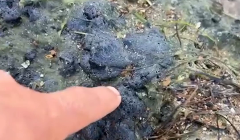 Волонтер показывает выбросы мазута на побережье. Стоп-кадр видео из Telegram-канала штаба "Дельфины" от 23.08.25, https://t.me/shtab_delfin/1077