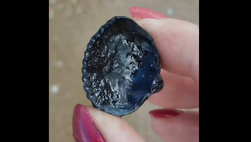 Испачканная в мазуте ракушка. Стоп-кадр видео из Telegram-канала Юрия Озаровского от 21.09.25, https://t.me/MoreOz/106555?single