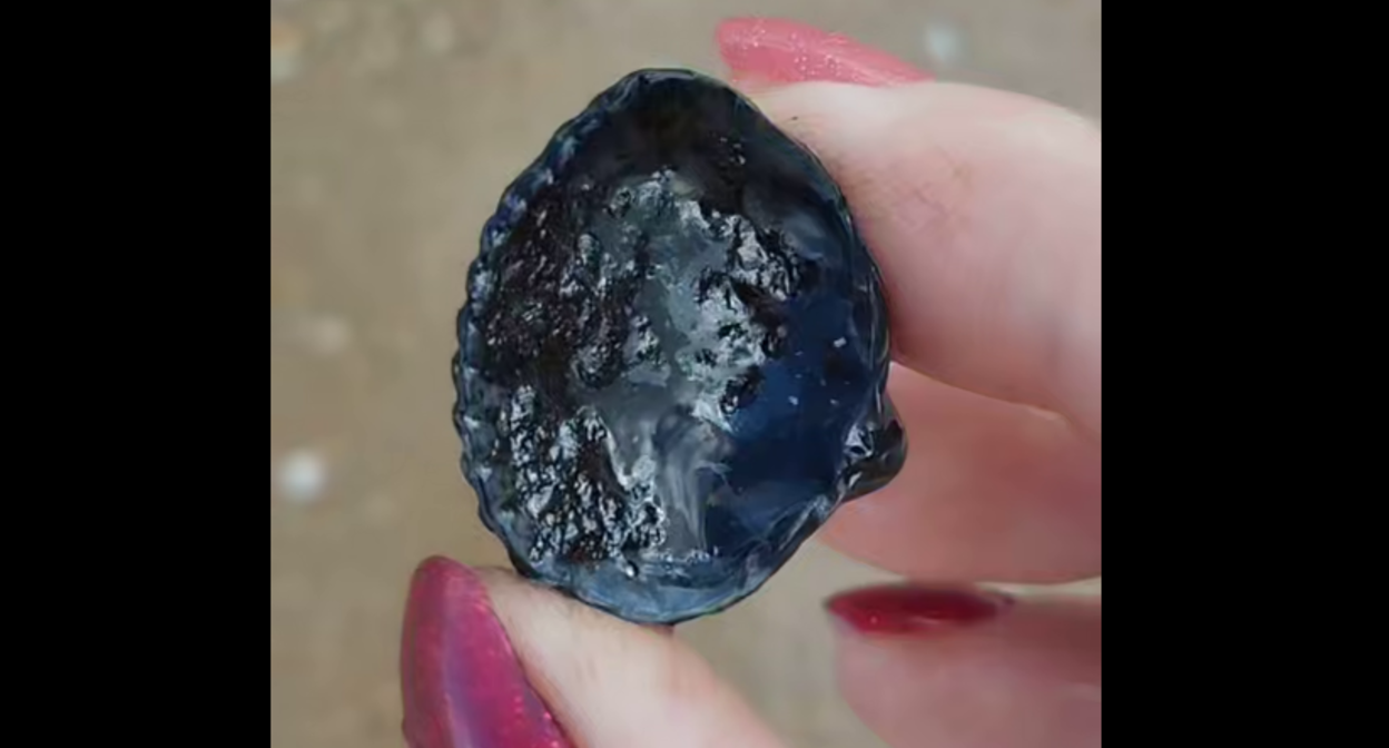 Испачканная в мазуте ракушка. Стоп-кадр видео из Telegram-канала Юрия Озаровского от 21.09.25, https://t.me/MoreOz/106555?single