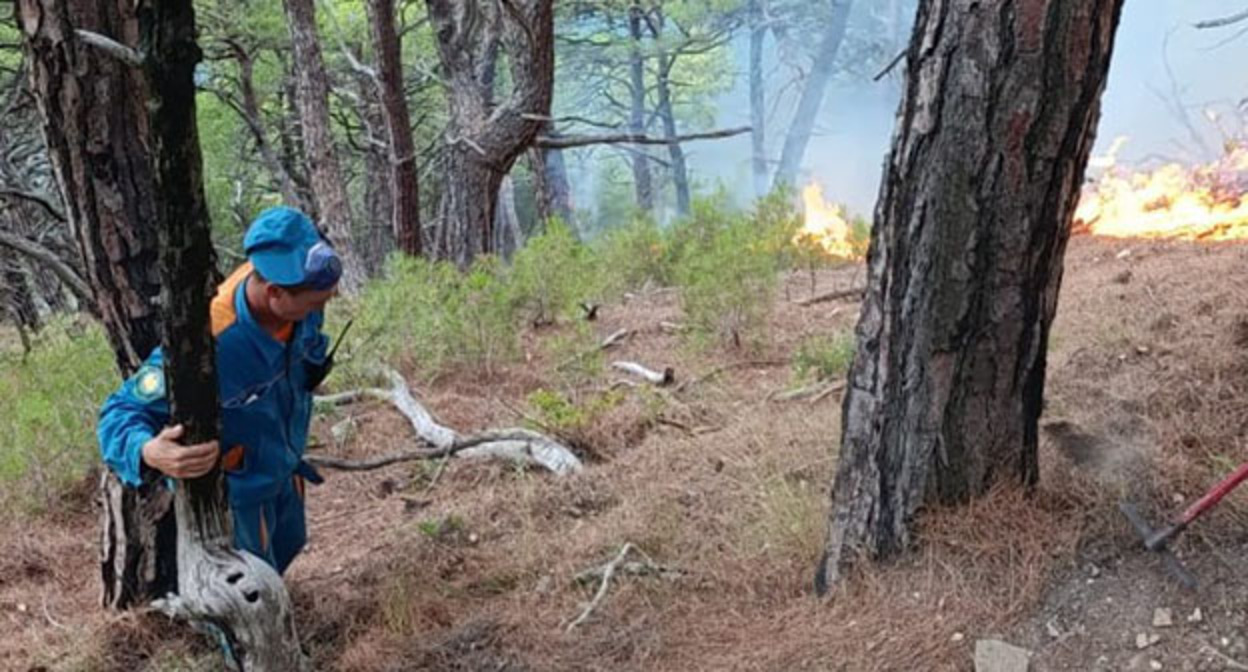 Пожар в районе Геленджика, 29 августа 2025 года. Фото: Краевой лесопожарный центр / Telegram