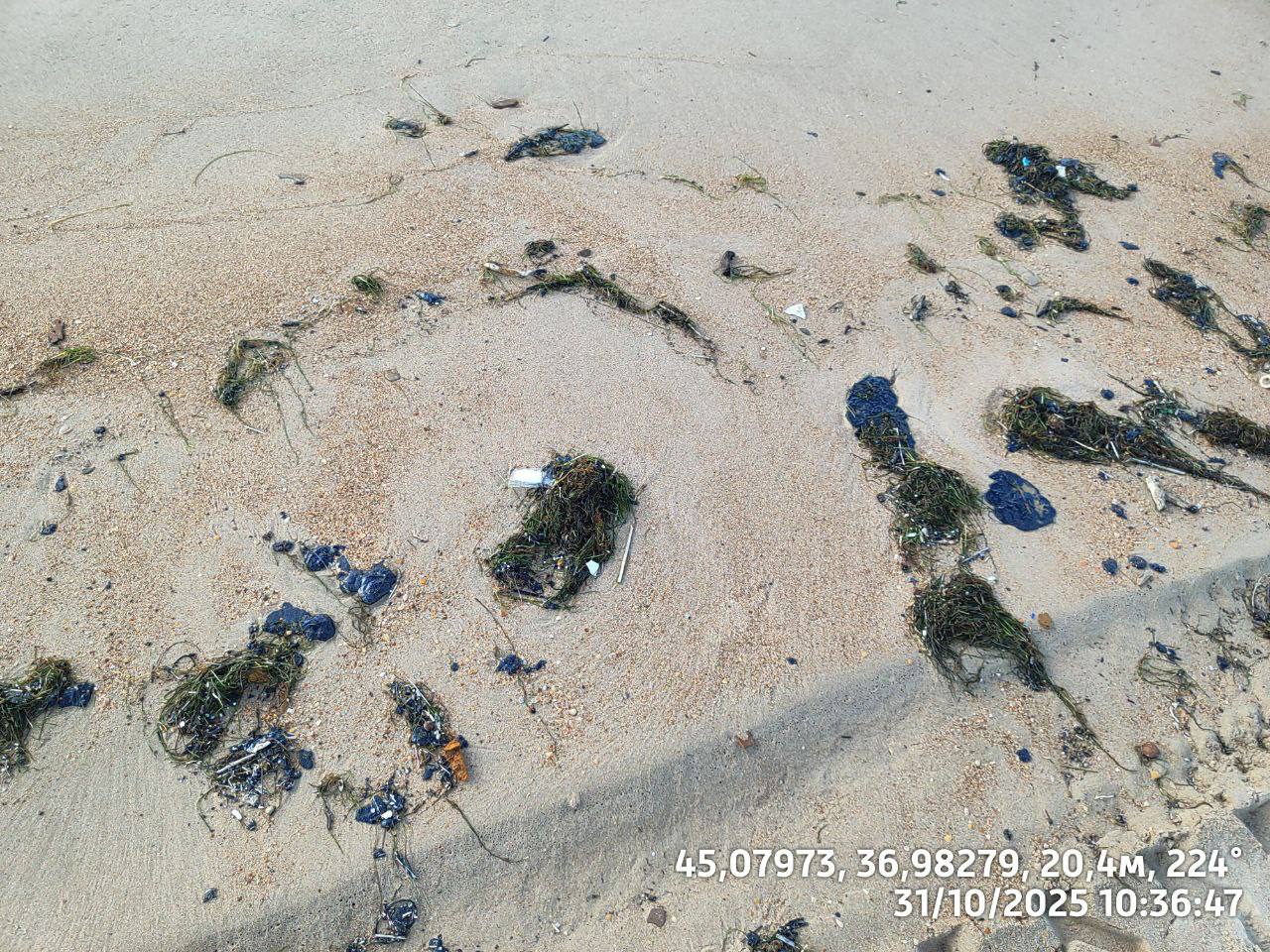 Пятна мазута на Бугазской косе, 31 октября 2025 года. Фото: "Сети, сито, лопата" / Telegram