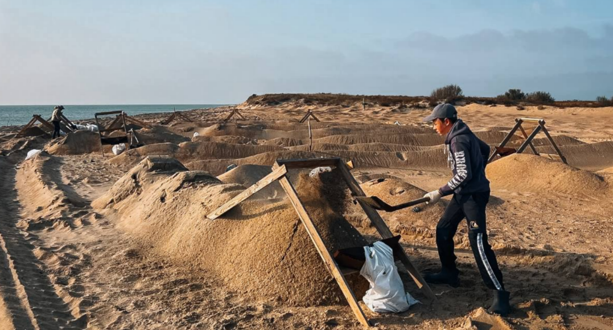 Волонтеры просеивают песок на берегу. Скриншот фото штаба "Сети, сито, лопата" от 7.11.25, https://t.me/setisitolopata/1874