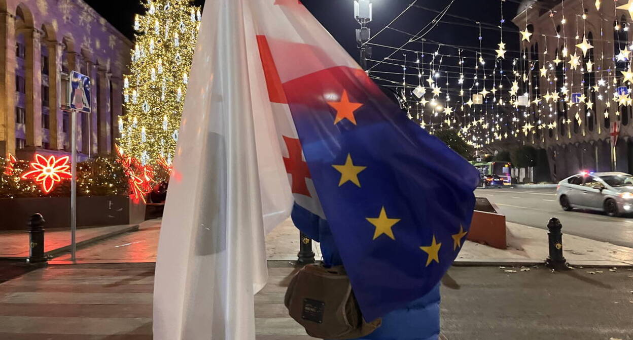 Протестующий у парламента Грузии. Фото "Кавказского узла".