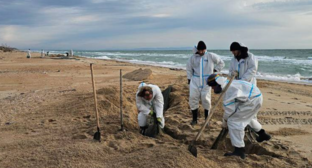 Волонтеры на пляже. Скриншот фото штаба "Сети, сито, лопата" от 08.01.26, https://t.me/setisitolopata/2259.