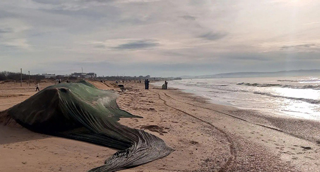 Пляж в Краснодарском крае. Январь 2026 г. Скриншот видео https://t.me/opershtab23/14772