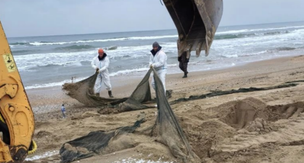 Уборка сетей на побережье Кубани. Скриншот фото оперштаба Краснодарского края от 17.01.26, https://t.me/opershtab23/14856.