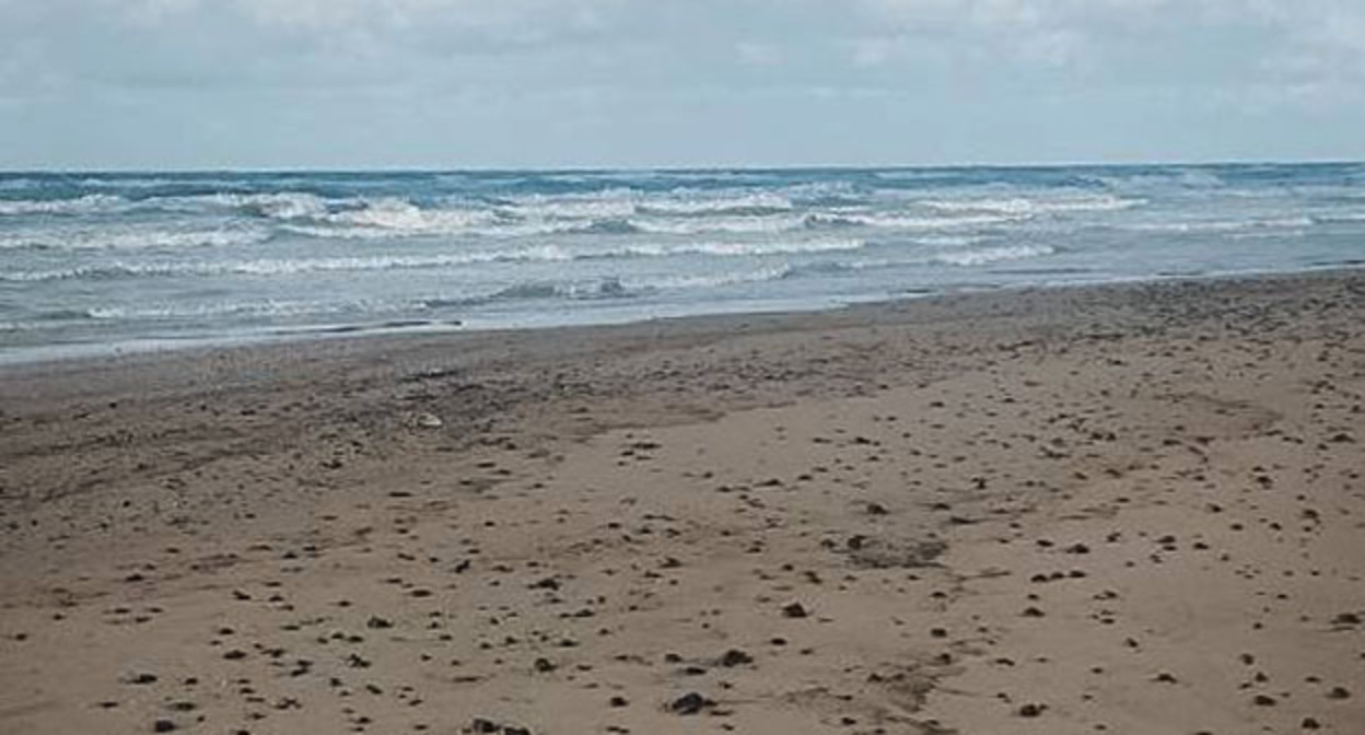 Пляж в Темрюкском районе. 20 февраля 2026 г. Фото: https://t.me/setisitolopata/2599