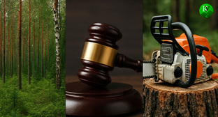 Суд о защите леса. Иллюстрация создана «Кавказским узлом» с помощью ИИ в программе Copilot