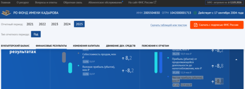 Фрагмент отчета фонда Кадырова. Скриншот фото https://bo.nalog.gov.ru/organizations-card/3157654